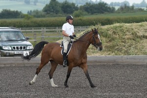 ISIS Dressage Challenge 2008